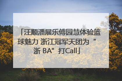 汪顺潘展乐傅园慧体验篮球魅力 浙江冠军天团为“浙 BA”打Call