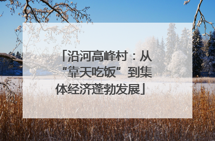 沿河高峰村：从“靠天吃饭”到集体经济蓬勃发展