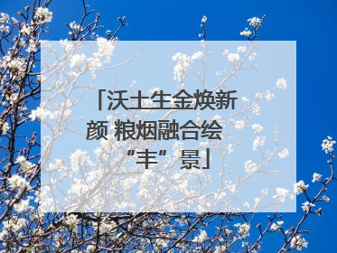 沃土生金焕新颜 粮烟融合绘“丰”景