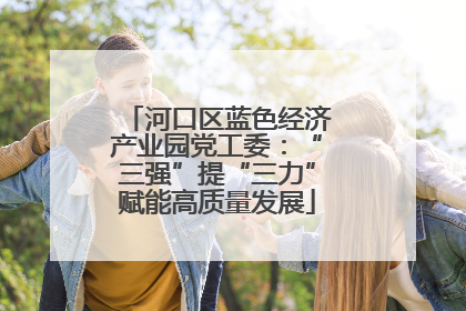 河口区蓝色经济产业园党工委：“三强”提“三力”赋能高质量发展