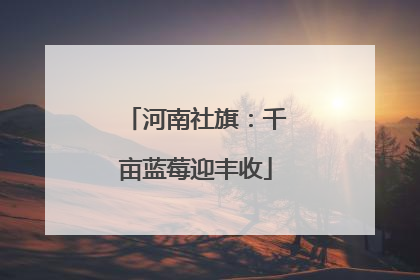 河南社旗：千亩蓝莓迎丰收