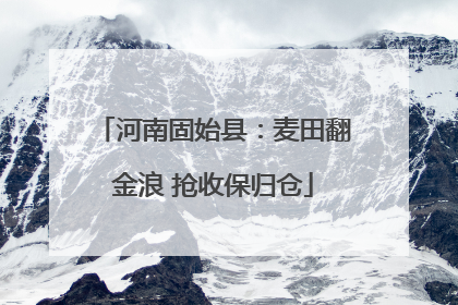 河南固始县：麦田翻金浪 抢收保归仓