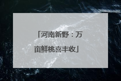 河南新野：万亩鲜桃喜丰收