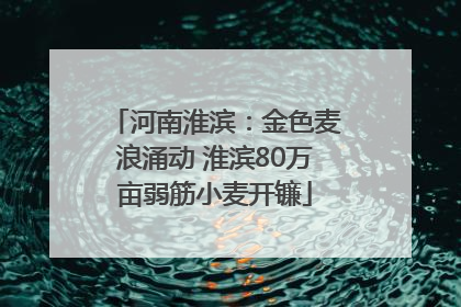 河南淮滨：金色麦浪涌动 淮滨80万亩弱筋小麦开镰
