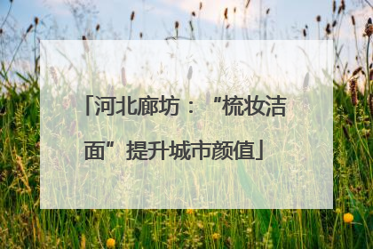 河北廊坊：“梳妆洁面”提升城市颜值