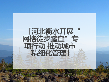 河北衡水开展“网格徒步踏查”专项行动 推动城市精细化管理