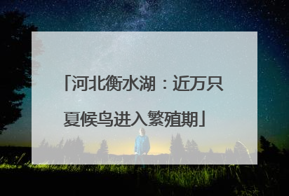 河北衡水湖：近万只夏候鸟进入繁殖期