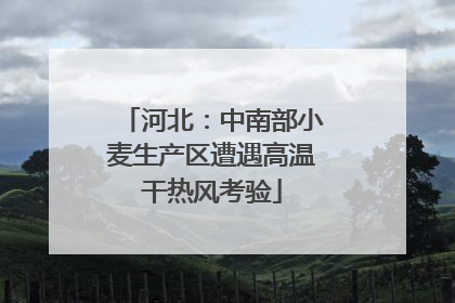 河北：中南部小麦生产区遭遇高温干热风考验