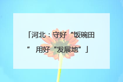 河北：守好“饭碗田” 用好“发展地”
