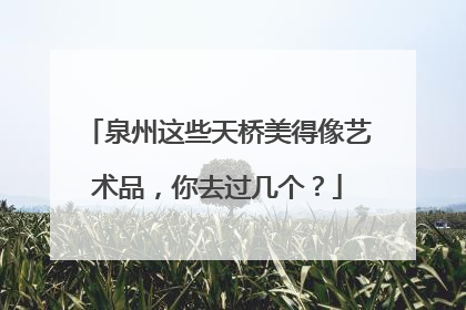 泉州这些天桥美得像艺术品，你去过几个？
