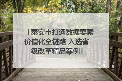 泰安市打通数据要素价值化全链路 入选省级改革精品案例