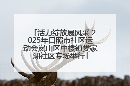 活力绽放展风采 2025年日照市社区运动会岚山区中楼镇娄家湖社区专场举行