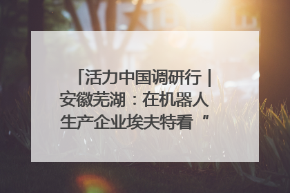 活力中国调研行｜安徽芜湖：在机器人生产企业埃夫特看“中国智造”