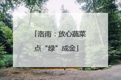 洛南：放心蔬菜点“绿”成金