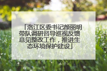 洛江区委书记颜丽明带队调研督导巡视反馈意见整改工作，推进生态环境保护建设