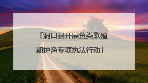 洞口县开展鱼类繁殖期护渔专项执法行动