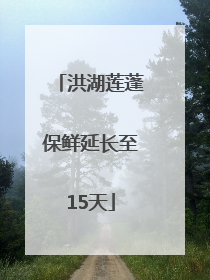 洪湖莲蓬保鲜延长至15天