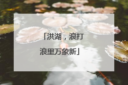 洪湖，浪打浪里万象新