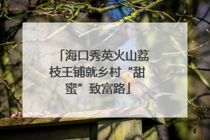海口秀英火山荔枝王铺就乡村“甜蜜”致富路