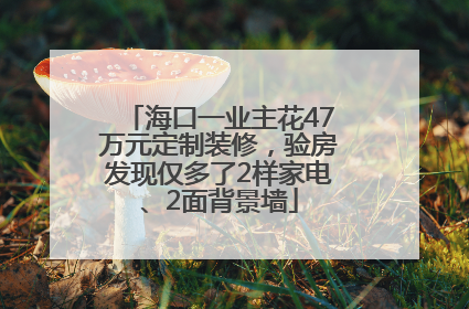 海口一业主花47万元定制装修，验房发现仅多了2样家电、2面背景墙