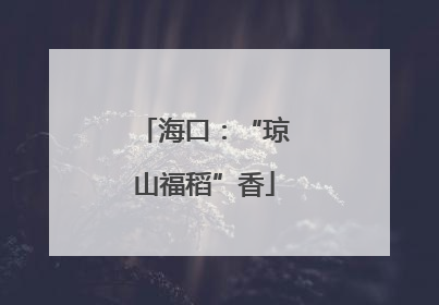 海口：“琼山福稻”香