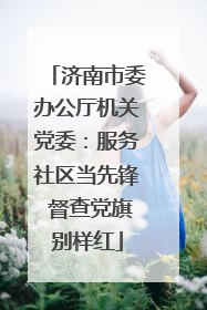 济南市委办公厅机关党委：服务社区当先锋 督查党旗别样红
