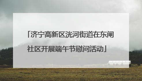 济宁高新区洸河街道在东闸社区开展端午节慰问活动