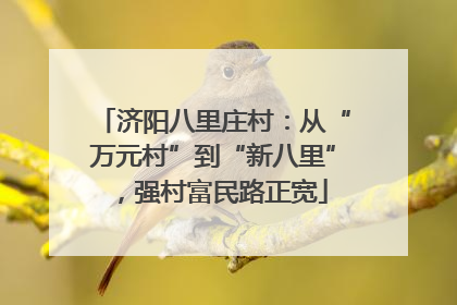 济阳八里庄村：从“万元村”到“新八里”，强村富民路正宽