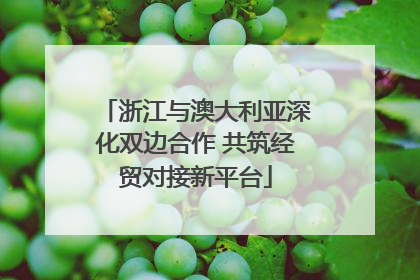 浙江与澳大利亚深化双边合作 共筑经贸对接新平台