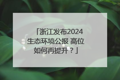 浙江发布2024生态环境公报 高位如何再提升？