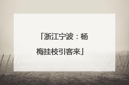 浙江宁波：杨梅挂枝引客来