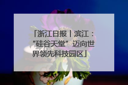 浙江日报丨滨江：“硅谷天堂”迈向世界领先科技园区