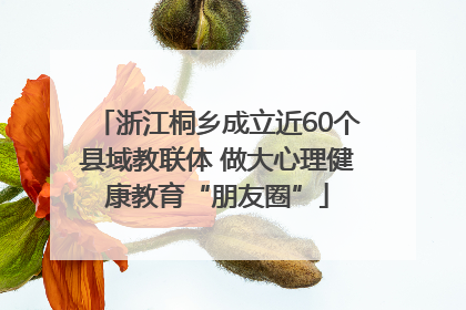 浙江桐乡成立近60个县域教联体 做大心理健康教育“朋友圈”