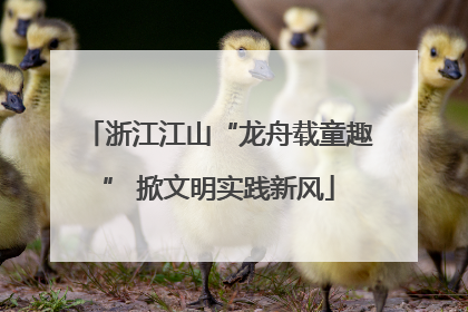 浙江江山“龙舟载童趣” 掀文明实践新风