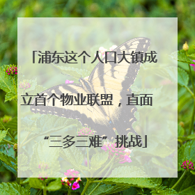 浦东这个人口大镇成立首个物业联盟，直面“三多三难”挑战