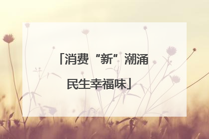 消费“新”潮涌 民生幸福味