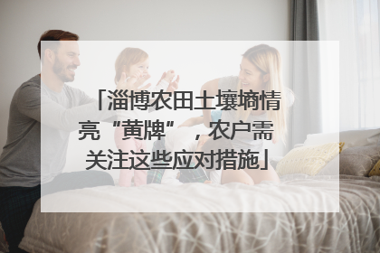 淄博农田土壤墒情亮“黄牌”，农户需关注这些应对措施