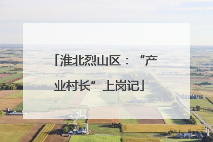 淮北烈山区：“产业村长”上岗记