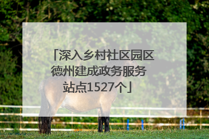 深入乡村社区园区 德州建成政务服务站点1527个