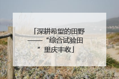 深耕希望的田野——“综合试验田”里庆丰收