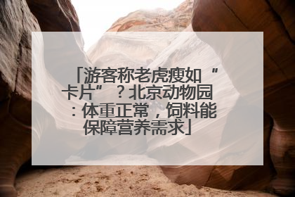 游客称老虎瘦如“卡片”？北京动物园：体重正常，饲料能保障营养需求