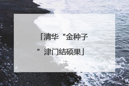 清华“金种子”津门结硕果