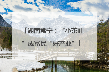 湖南常宁：“小茶叶”成富民“好产业”