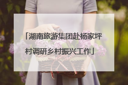 湖南旅游集团赴杨家坪村调研乡村振兴工作