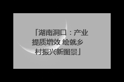 湖南洞口：产业提质增效 绘就乡村振兴新图景