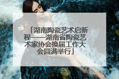 湖南陶瓷艺术启新程——湖南省陶瓷艺术家协会换届工作大会圆满举行