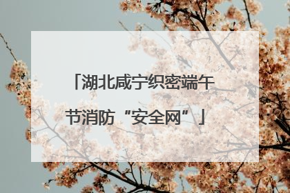 湖北咸宁织密端午节消防“安全网”