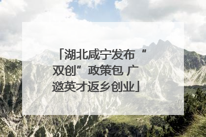 湖北咸宁发布“双创”政策包 广邀英才返乡创业