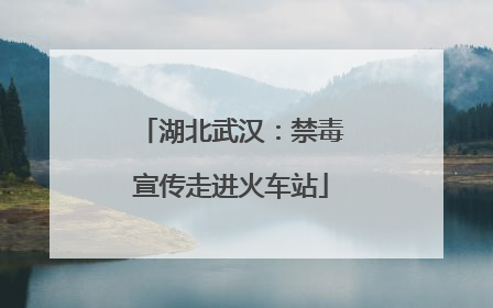 湖北武汉：禁毒宣传走进火车站