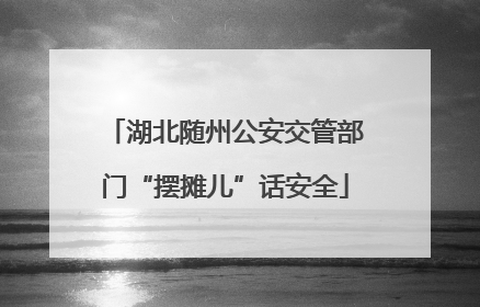 湖北随州公安交管部门“摆摊儿”话安全